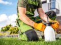 Le dosage du roundup ultra plus pour 5 litres d’eau : guide pratique et astuces