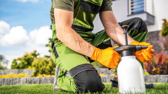Le dosage du roundup ultra plus pour 5 litres d’eau : guide pratique et astuces