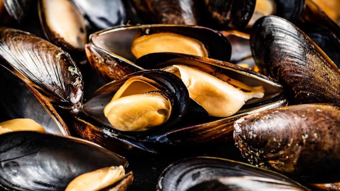 Moules de bouchot saison : une tradition culinaire à préserver