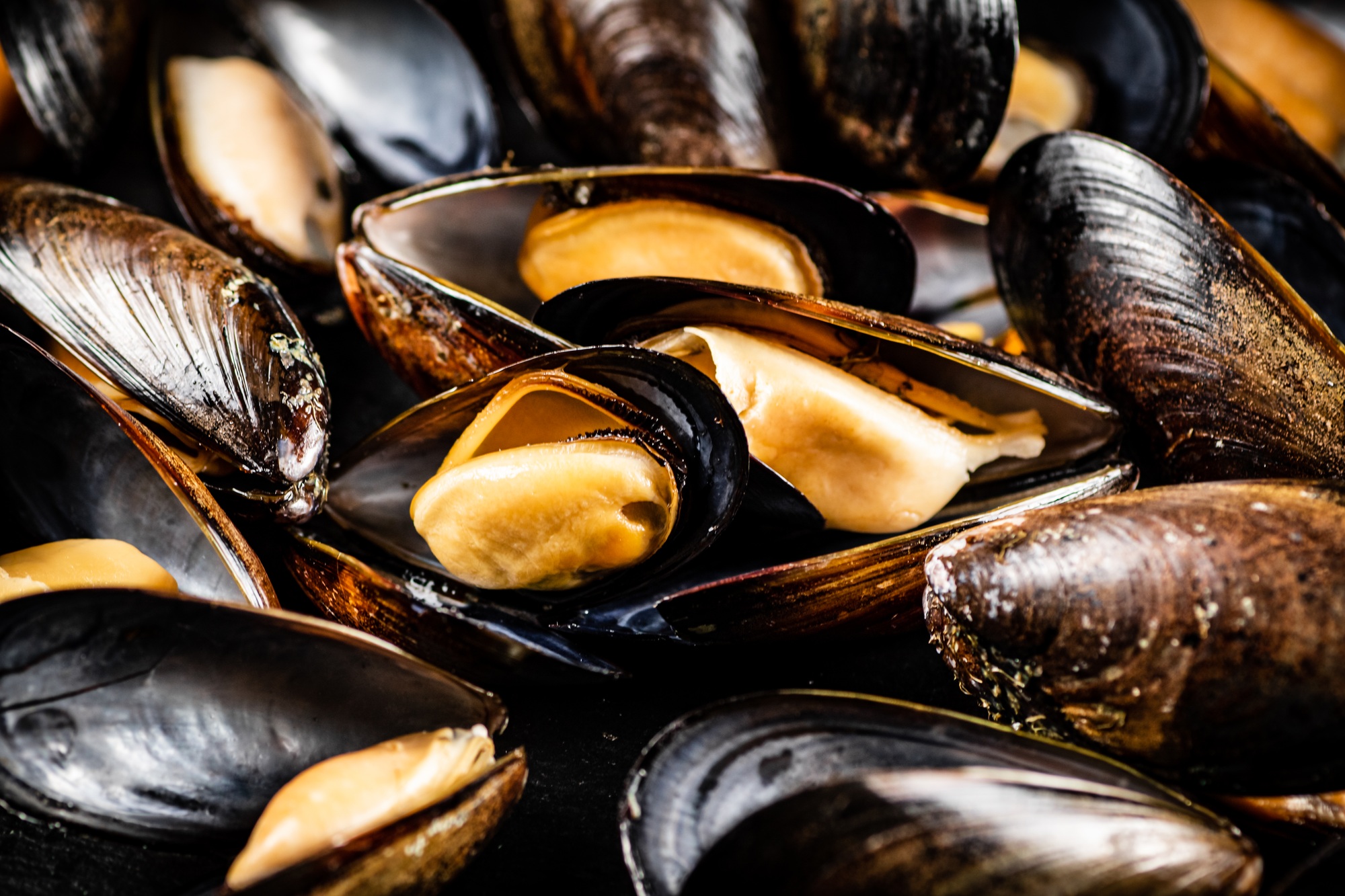 Moules de bouchot